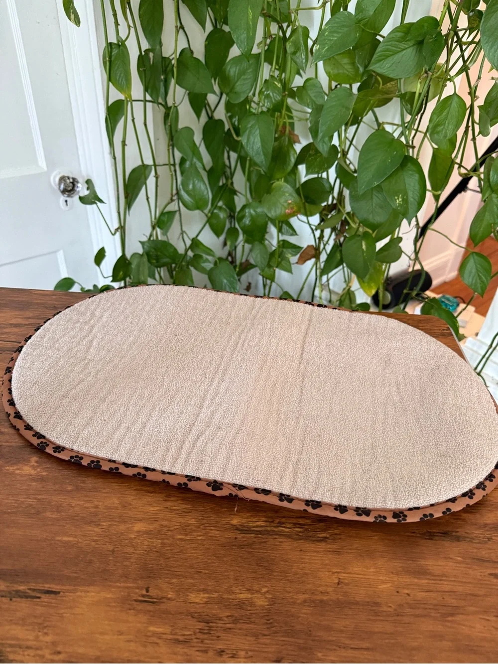 pet Bowl Mat Beige Oval Pet Door Mat with Paw-Trim